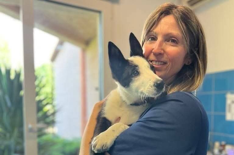Premiers secours canin - à 10h00 le samedi 11 Juillet